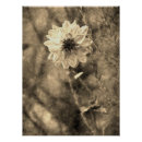Recherche de vieille peinture posters Vintage