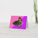 Zoek naar eendjes kaarten Kinderen