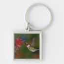 Recherche de colibri en vol porteclés Masculin