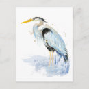 Recherche de original cartes postales Oiseau