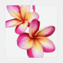 Recherche de plumeria ornements Hawaii