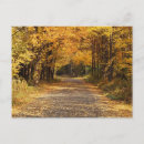 Recherche de les chutes cartes postales Forêt