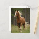 Zoek naar staart briefkaarten Schattig