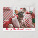 Recherche de chiot de noël cartes postales Frenchie
