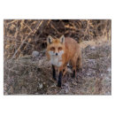 Recherche de mammifères planches à découper Faune