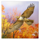 Zoek naar rode vogels tegels Herfst