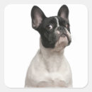 Recherche de bruxelles belgique autocollants Vertical