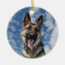 Recherche de berger allemand ornements K 9