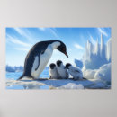 Recherche de pingouin bébé posters Mignon