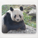 Recherche de un panda géant tapis souris Mignon