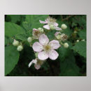 Recherche de pour blackberry posters Pour tous