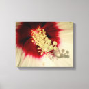 Recherche de hibiscus flower art Botanique