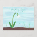 Recherche de snowdrops cartes postales Blanc