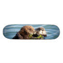 Zoek naar kust skateboards Schattig