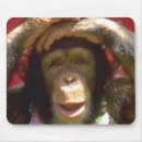 Recherche de animal zoo tapis souris Animaux de zoo