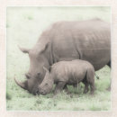 Recherche de rhinocéros dessous de verres Faune