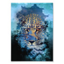 Zoek naar sneeuw luipaarden posters Blauw