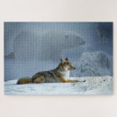 Recherche de polaire puzzles Amusant