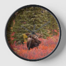 Recherche de nain horloges Forêt