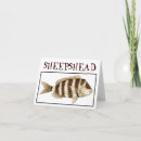 Recherche de sheepshead Poissons