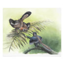 Recherche de evolution posters Dinosaures
