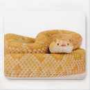 Recherche de sonnette tapis souris Animal