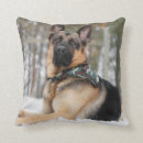 Recherche de bergers allemands coussins Neige