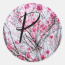 Zoek naar japanse kersenboom posters Floreel