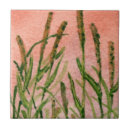 Recherche de foin carreaux Paysage