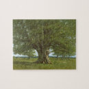 Recherche de réalisme puzzles Paysage