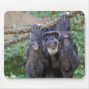 Recherche de singe chimpanzé tapis souris Animal