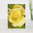 Recherche de rosebud vœux cartes Jolie