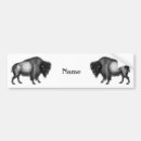 Recherche de bison voiture autocollants Buffle
