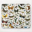 Recherche de dessin papillon souris clavier Illustration