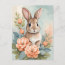 Recherche de lapin pastel cartes postales Baby