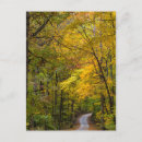 Recherche de gravier cartes postales Route de gravier