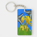 Recherche de canna accessoires Papillon
