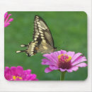 Recherche de sensible tapis souris Nature