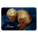 Recherche de compagnie magnets Mignon