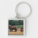 Recherche de amish accessoires Agriculture