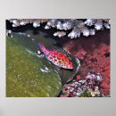 Recherche de écorce art Nature