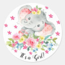 Recherche de joli chat Fleurs