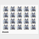 Recherche de chat bleu russe autocollants Nebelung