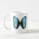Recherche de amant de papillon tasses Entomologie