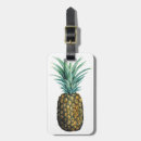 Recherche de ananas bagages étiquettes Vert