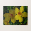 Zoek naar trumpet puzzels Trompet