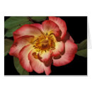 Recherche de signification des fleurs Fleurs de ressort