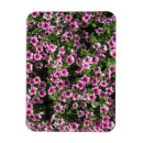 Recherche de buisson magnets Fleur
