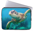 Recherche de maui électronique Tortue
