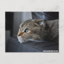 Recherche de plié cartes postales Amour